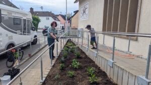 Beet vor der Schule wird neu angelegt