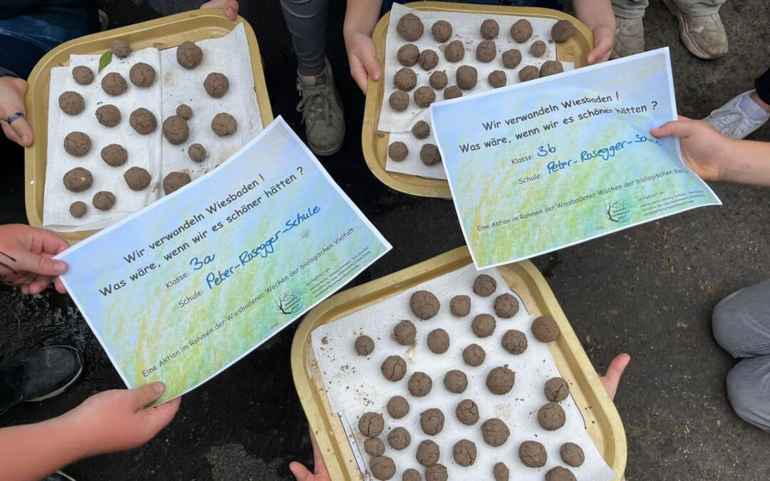 Unser Beitrag zu den Wiesbadener Wochen der biologischen Vielfalt