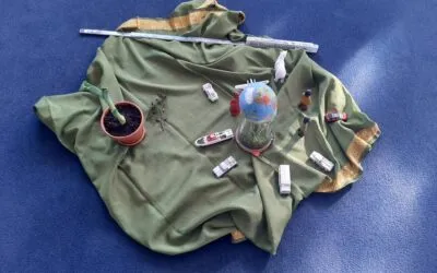 Schuljahr der Nachhaltigkeit