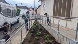 Beet vor der Schule wird neu angelegt